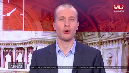 Protection des enfants contre la pédophilie : le sénat poursuit sa mission d'inf - Les matins du Sénat (08/01/2019)