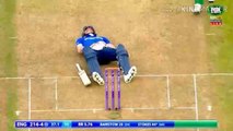 Ozzy Man Reviews: Cricket Nut Shots