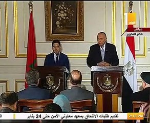 سامح شكرى: تركيا وقطر تدعمان التنظيمات الإرهابية في ليبيا