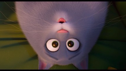 Lake Bell Is A Super Fun Cat In 'The Secret Life of Pets 2' New "Chloe" Trailer