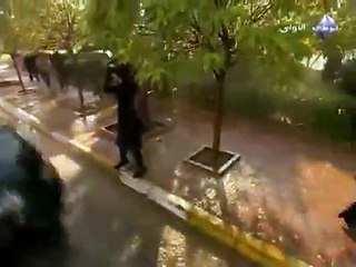 اللقاء الاول لايلا وليفنت -  الأطباء الحلقة الاولى