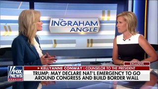 Conway: Congress and the courts have given us the border crisis