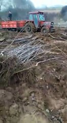 Açık Köklü Ceviz Fidanı Siparişi - 0541 813 88 30