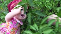 Baby Alive Maya Bahçede Sebze Meyve Topluyor