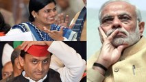 BJP को लग सकता है बड़ा झटका, Apna Dal को अपना बनाने में जुटे  Akhilesh Yadav | वनइंडिया हिंदी