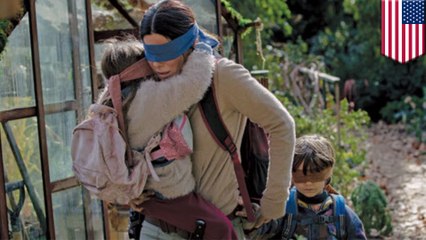 Netflix urges people to stop hurting themselves Bird Boxing