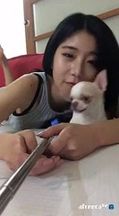 대전출장마사지// Ö1Ô↔5762↔6631 { 카톡fc81 }'20대'대전출장안마 대전출장안마 출장안마코스 대전출장안마 대전출장업소 대전출장마사지- 대전콜걸.