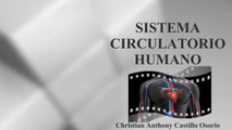 SISTEMA CIRCULATORIO HUMANO : DOCUMENTAL COMPLETO