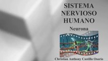 SISTEMA NERVIOSO HUMANO - NEURONA : DOCUMENTAL COMPLETO