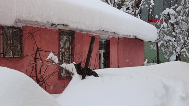 Bingöl Karlıova'da Okullar Tatil Edildi, Çocuklar Karda Eğlendi