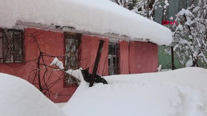 Bingöl Karlıova'da Okullar Tatil Edildi, Çocuklar Karda Eğlendi