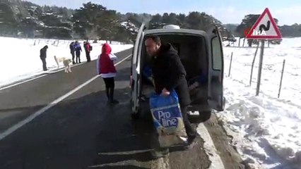 Karda aç kalan hayvanlara yem bıraktılar