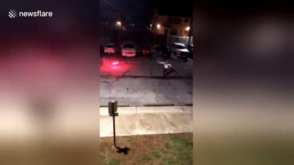 Two Texan friends have 'Harry Potter' wand duel - WITH FIRECRACKERS