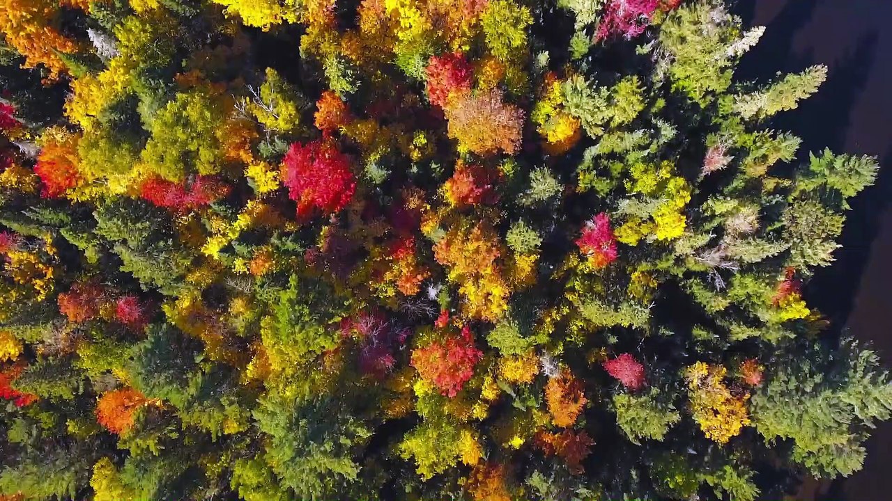 Inside Economy of Canada