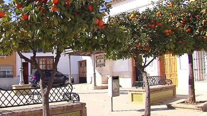 Casariche vive con intranquilidad una oleada de robos