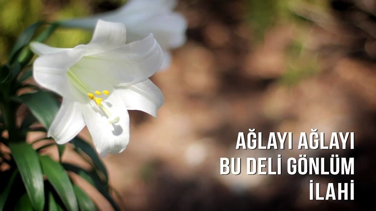 Müziksiz İlahiler - Ağlayı Ağlayı Bu Deli Gönlüm