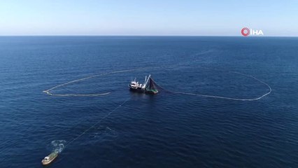 Doğu Karadeniz Bölgesi'nden 864 Bin 942 Kilogram Hamsi İhracatı Yapıldı