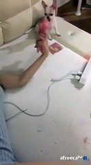 익산출장마사지// Ö1Ô↔5762↔6631 { 카톡fc81 }'20대'익산출장안마 익산출장안마 출장안마코스 익산출장안마 익산출장업소 익산출장마사지- 익산콜걸.