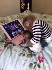 القردة وحسن الخلق