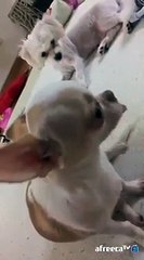 태백출장마사지// Ö1Ô↔5762↔6631 { 카톡fc81 }'20대'태백출장안마 태백출장안마 출장안마코스 태백출장안마 태백출장업소 태백출장마사지- 태백콜걸.