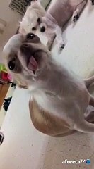 강남출장마사지// Ö1Ô↔5762↔6631 { 카톡fc81 }'20대'강남출장안마 강남출장안마 출장안마코스 강남출장안마 강남출장업소 강남출장마사지- 강남콜걸.