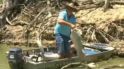 استرالیا؛ صدها هزار ماهی در اثر کمبود اکسیژن در آب خفه شدند