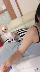 강진출장마사지// Ö1Ô↔5762↔6631 { 카톡fc81 }'20대'강진출장안마 강진출장안마 출장안마코스 강진출장안마 강진출장업소 강진출장마사지- 강진콜걸.