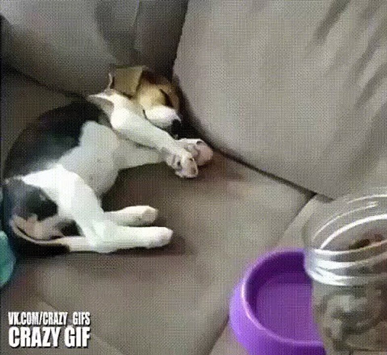 You are not yourself when you're hungry