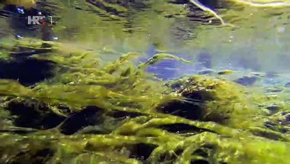 I to je Hrvatska - Gacko polje