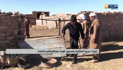 تيارت: مربوا الماشية يتصدون للوباء بإمكانياتهم الخاصة