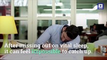 What Happens When You Catch up on Sleep?
