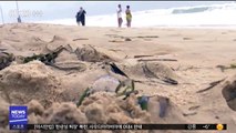 [이 시각 세계] '해파리의 습격'…호주 해변 폐쇄