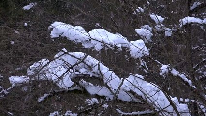 Warnung vor neuem unwetterartigem Schneefall