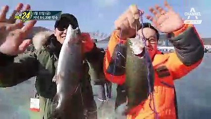 [예고] 겨울이 오기만을 기다렸다!  1년을 기다린 손맛! ‘평창 송어 축제’