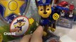 Paw Patrol Nickelodeon Action Pack Pup and Badge Rocky Marshall Rubble Chase