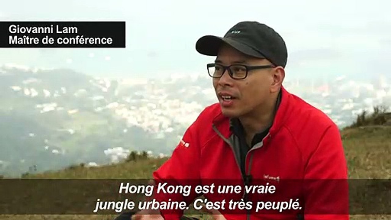 A Hong Kong, s'offrir un bol d'air grâce au parapente