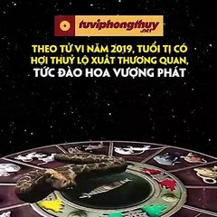 FB Vận trình tình duyên của tuổi Tị khi bước sang năm Kỷ Hợi 2019