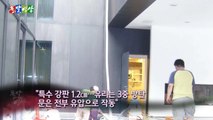 [돌발영상] '최고'와 '최저' - 이부진 사장 실내연못 길이는? / YTN