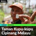 Taman Kupu-kupu Cipinang Melayu