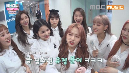 (Showchampion behind EP.82) WEKI MEKI's guide to How to get Started