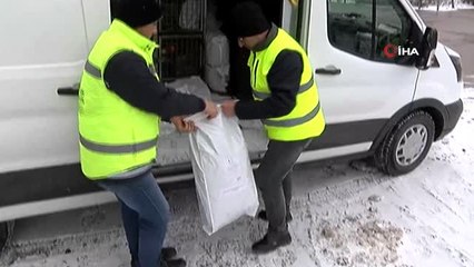 Karda Sokak Hayvanlarını Elleriyle Beslediler