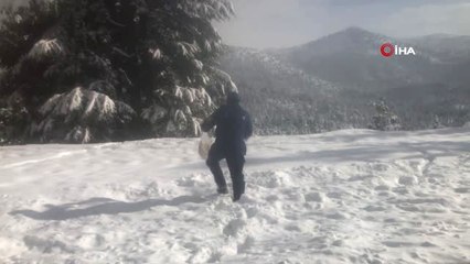 Video herunterladen: Jandarma, Kar Yağışı Nedeniyle Yiyecek Bulmakta Zorlanan Sokak Hayvanları İçin Dağlara Ekmek Bıraktı