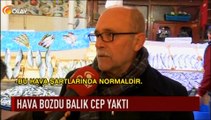 Hava bozdu balık cep yaktı