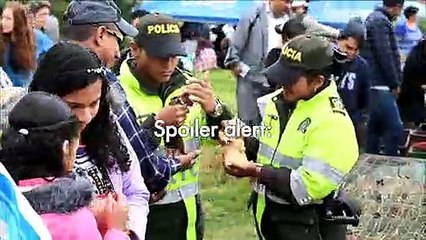Colombians celebrate festival with roasted guinea pigs