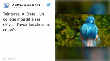 Créteil. Un collège privé interdit à ses élèves de venir avec les cheveux colorés