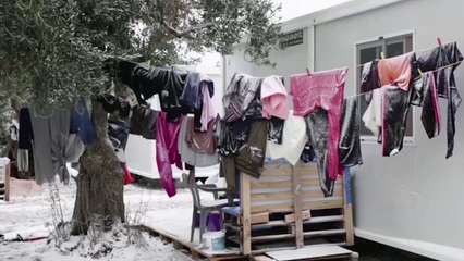 7 te vdekur nga orteqet e bores ne Alpe