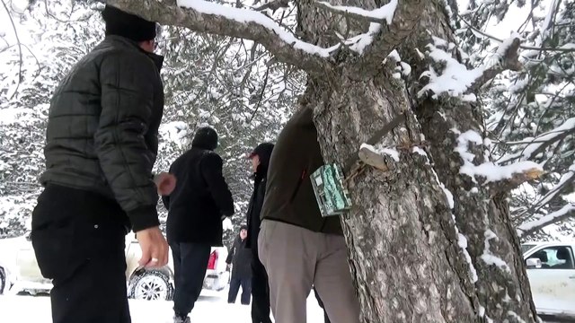 Yılkı atları ve kızıl geyikler için doğaya yem bırakıldı - AFYONKARAHİSAR
