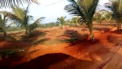 Cell 9347817389 Tattabanda Tree Plantation Farm land Plots in Charan Estates by Charan Group