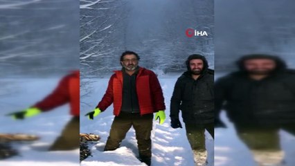 Yaban hayvanları için ormana 20 kasa hamsi bıraktılar