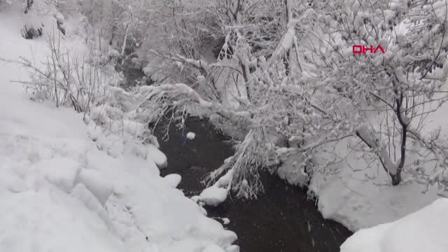 Van, Bitlis ve Hakkari'de 970 Yerleşim Biriminin Yolu Kapalı-Bitlis